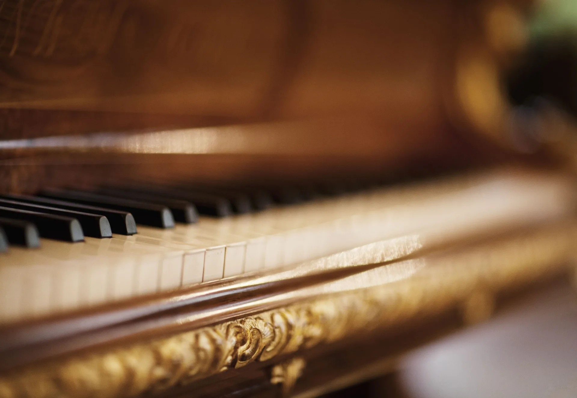 The keys and details of a grand piano located in the museum's main salon
